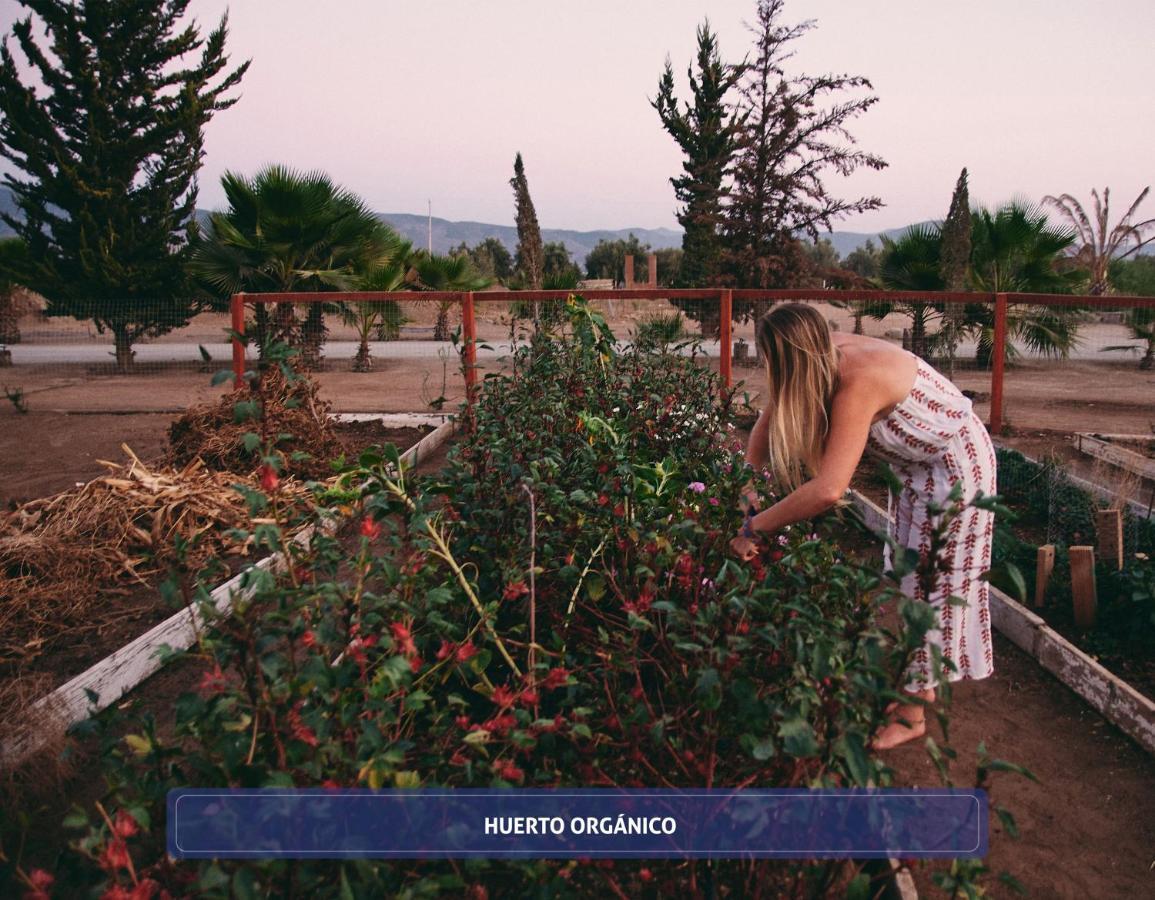 Entre Vinedos By Hotel Boutique Valle De Guadalupe Zewnętrze zdjęcie